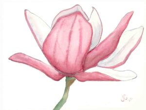 Pink Flower