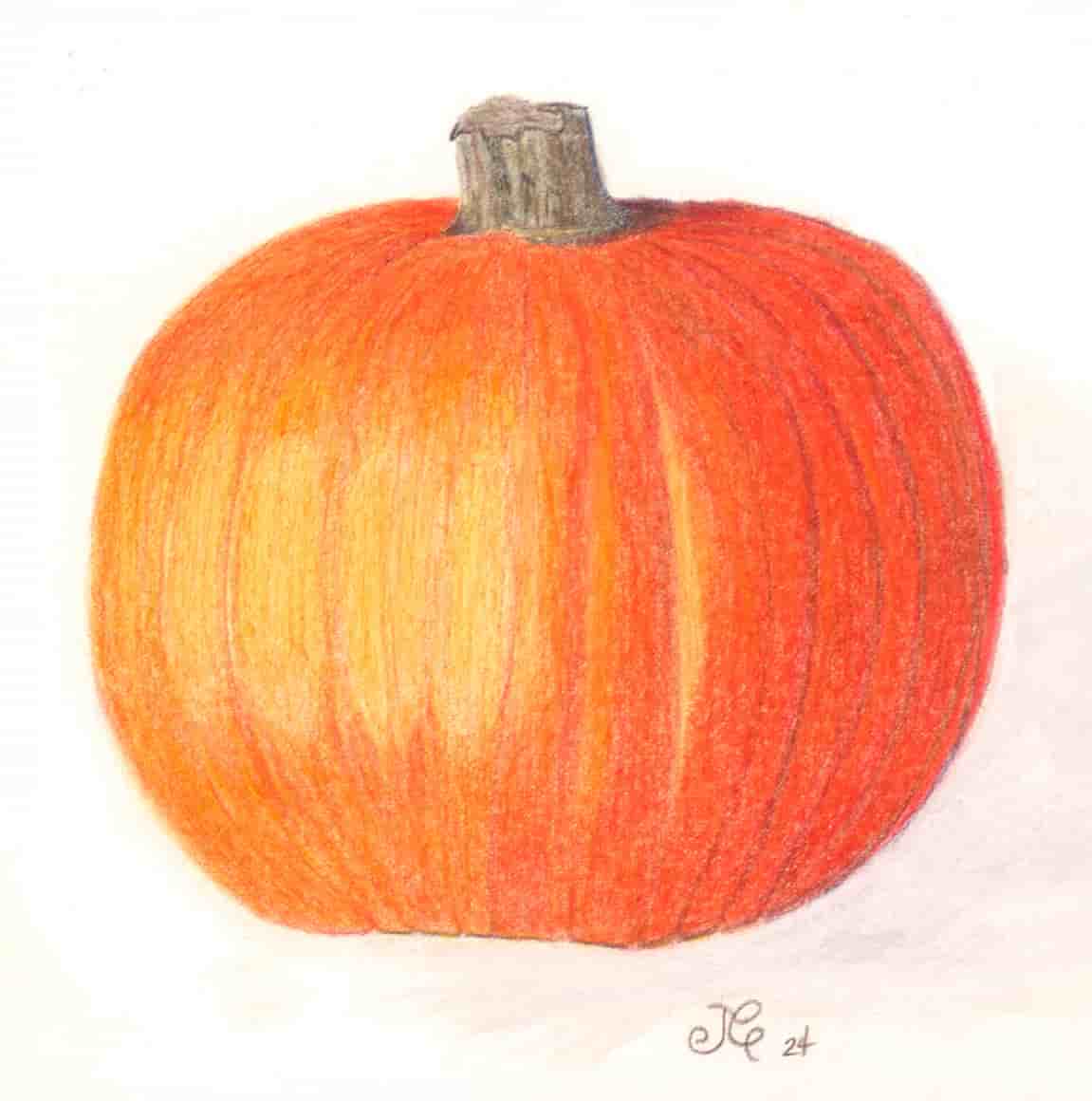 Pumpkin