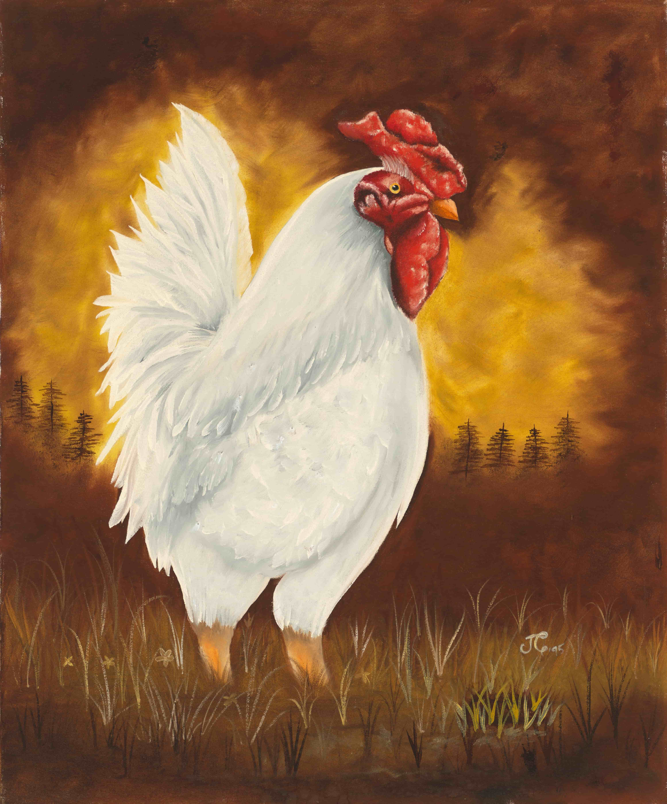 Rooster