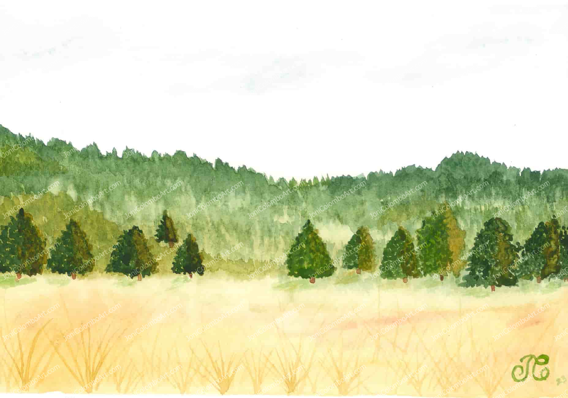 Quiet Field