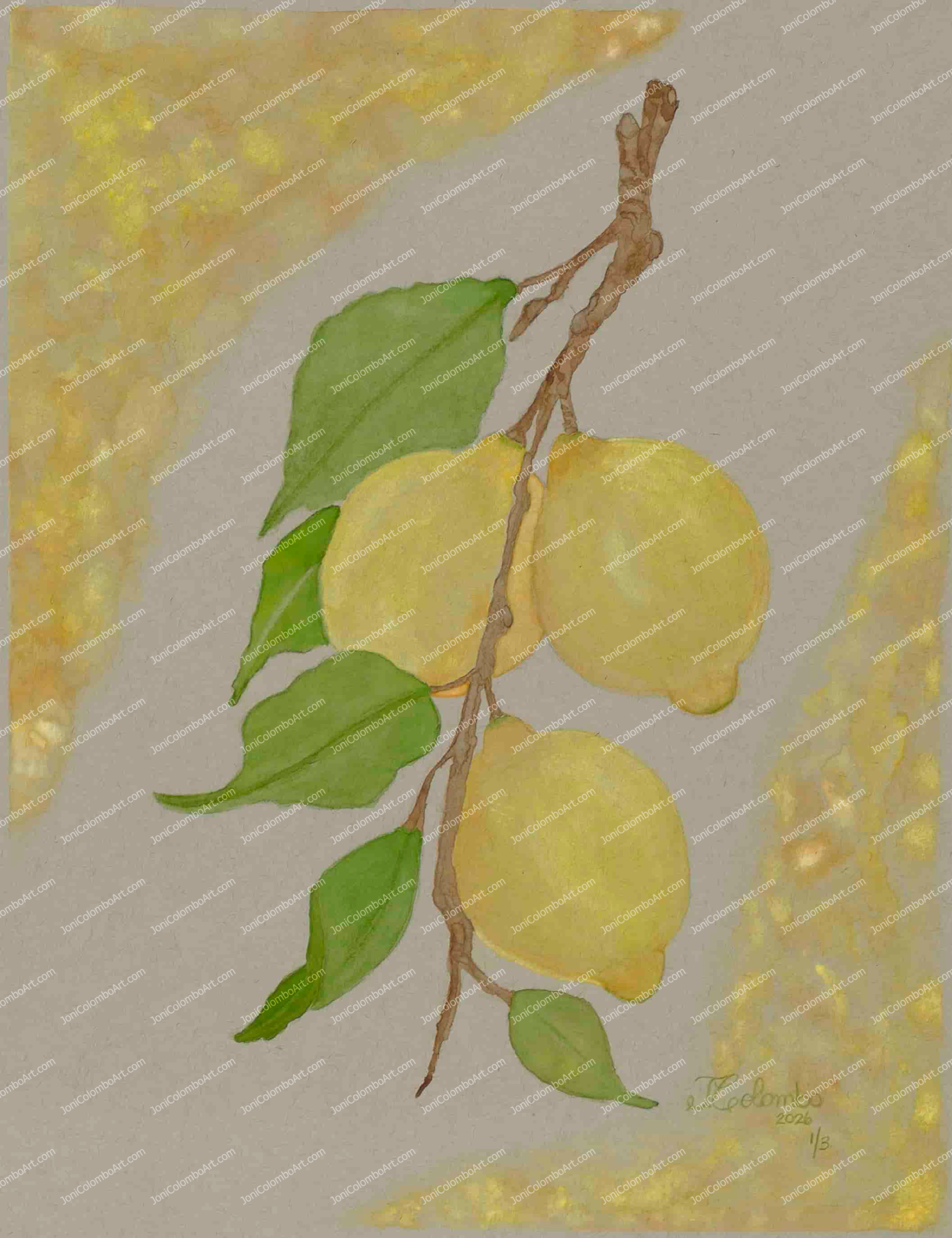 Harvest