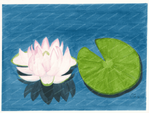 Still Waters