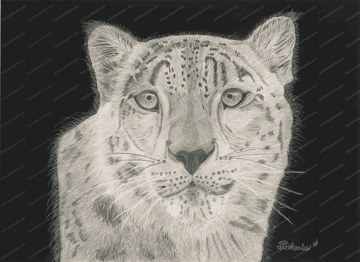 Snowy, Snow Leopard